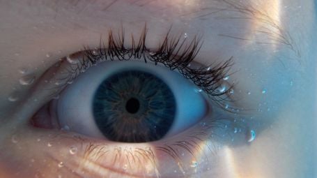 Nodavirus, il virus marino che colpisce gli occhi: sintomi, rischi e cura