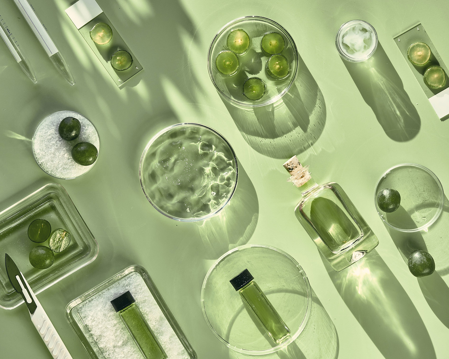 Skincare intima, la nuova ossessione beauty: 8 prodotti must have Skincare intima, la nuova ossessione beauty: 8 prodotti must have