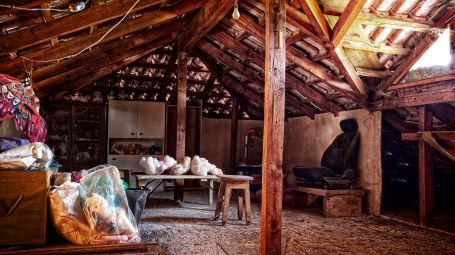 Hantavirus, cos’è il virus dei topi e i rischi (attenti a cantine e garage)
