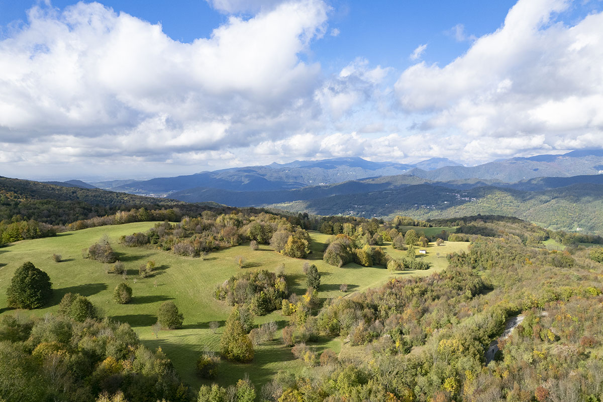 Estate in Friuli Venezia Giulia: passeggiate tra fioriture alpine, boschi e silenzio