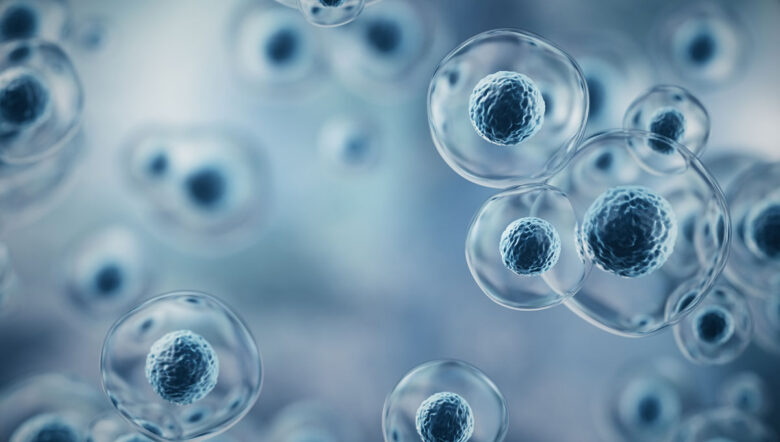 cellula umana o cellula staminale embrionale sullo sfondo del microscopio