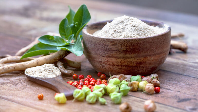 Ashwagandha Radici e polvere conosciuta come Withania somnifera