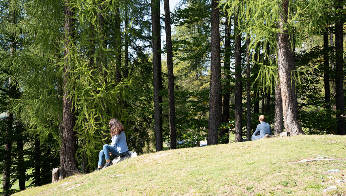 Mindfulness tra le vette: a Cortina due giorni lontani da stress e ansia da smartphone Mindfulness tra le vette: a Cortina due giorni lontani da stress e ansia da smartphone