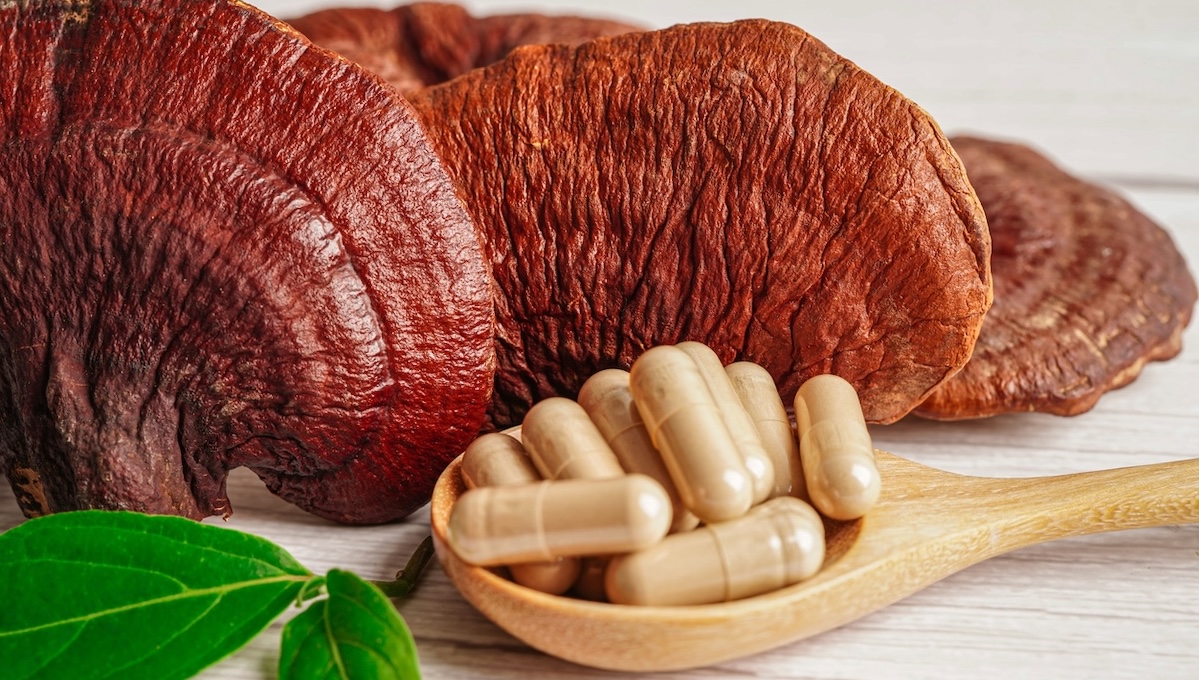Funghi funzionali: dalla medicina cinese, una nuova arma per il tuo benessere Funghi funzionali: dalla medicina cinese, una nuova arma per il tuo benessere