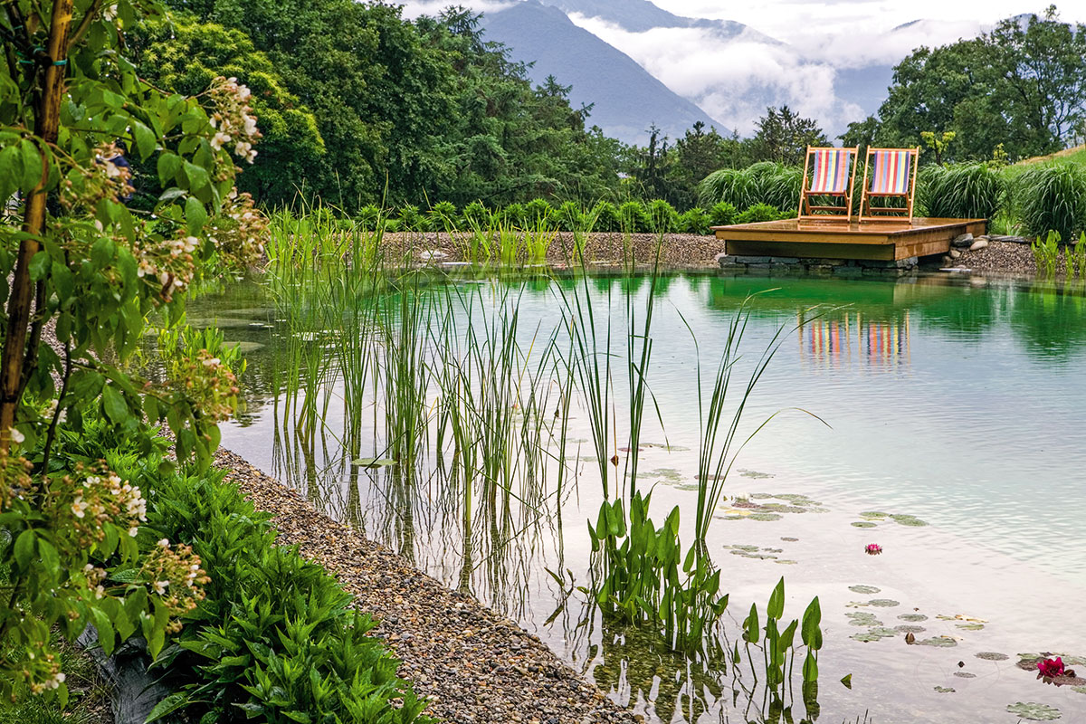 Healing gardens, i giardini terapeutici progettati per aiutare i pazienti