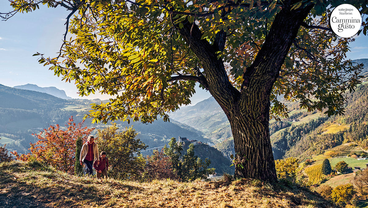 Cammina con gusto: il Sentiero del castagno, 90 km tra sapori d’autunno Cammina con gusto: il Sentiero del castagno, 90 km tra sapori d’autunno