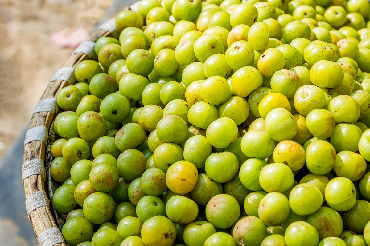 Dieta Portfolio: 5 regole d’oro e il menu per abbassare il colesterolo a tavola Dieta Portfolio: 5 regole d’oro e il menu per abbassare il colesterolo a tavola