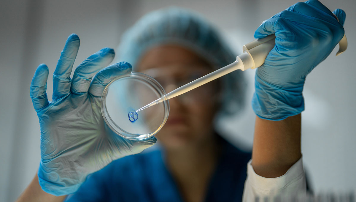 Virus Shamonda, un morto in Francia: dobbiamo preoccuparci? La spiegazione del virologo Virus Shamonda, un morto in Francia: dobbiamo preoccuparci? La spiegazione del virologo