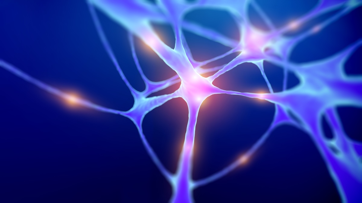 Parkinson, depressione e vista: perché la scoperta premiata con il Nobel 2026 apre nuove terapie Parkinson, depressione e vista: perché la scoperta premiata con il Nobel 2026 apre nuove terapie