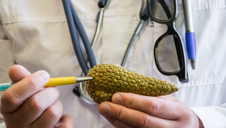 medico punta la penna sul modello anatomico del pancreas