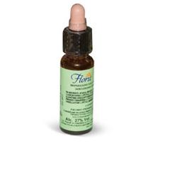 FLORIT 28 SCLERANTHUS/FIORS