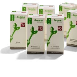 BETULLA PUBESCENS AMEN 50ML MG