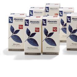 VERBENA 200ML TM