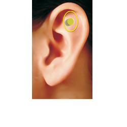 ZEROSMOKE AURICOLOTERAPIA MAGN