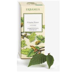 ALNUS GLUTINOSA GEMME GEMMODER