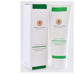 UNGUENTO BORO BORACICO 250ML
