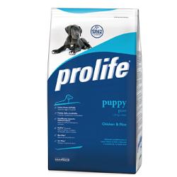 PROLIFE DOG PUPPY GIANT 3KG