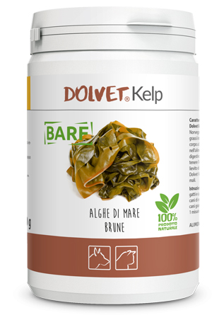 DOLVET KELP 250G