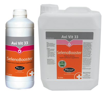 AVI VIT 33 SELENOBOOSTER 1L